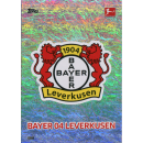 208 - Bayer 04 Leverkusen - Club-Karte