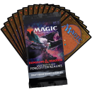 Magic: The Gathering Abenteuer in den Forgotten Realms...