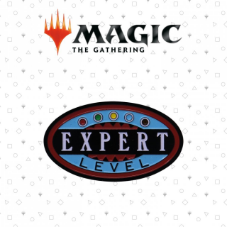 Magic: the Gathering Expert Level Limited Edition Pin Badge