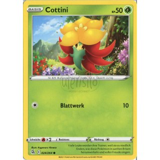 024 - Cottini  - Common