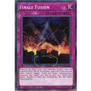 DLCS-DE020 - Finale Fusion - Common