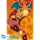 Pokémon - Poster Typ Feuer (91,5x61cm)